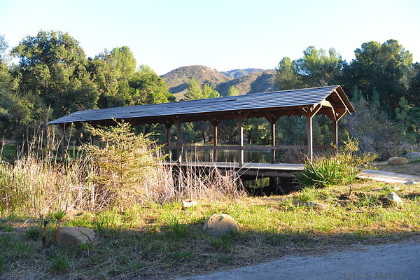 DSC 7870