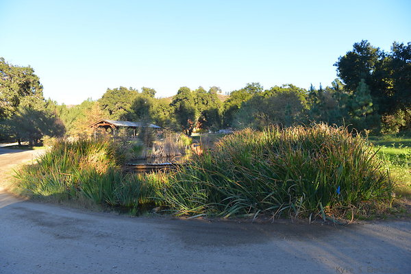DSC 7878