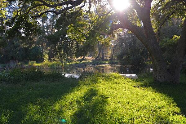 DSC 7700