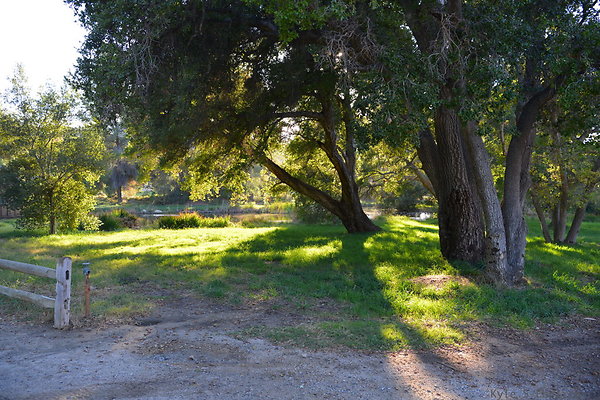 DSC 7772