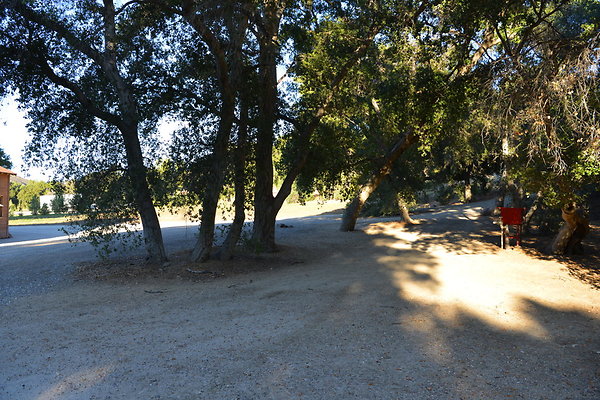 DSC 7790