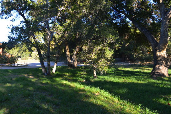 DSC 7711