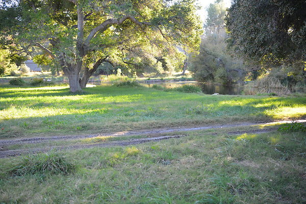 DSC 7648