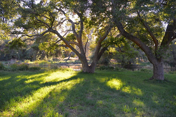 DSC 7692