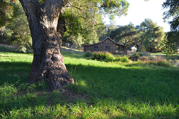 DSC 7735