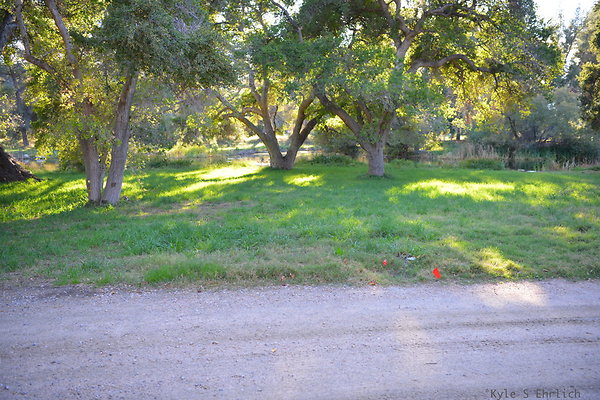 DSC 7679