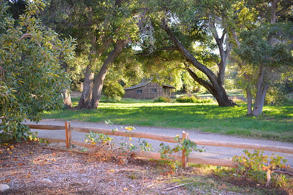 DSC 7663