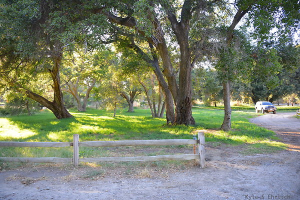 DSC 7787