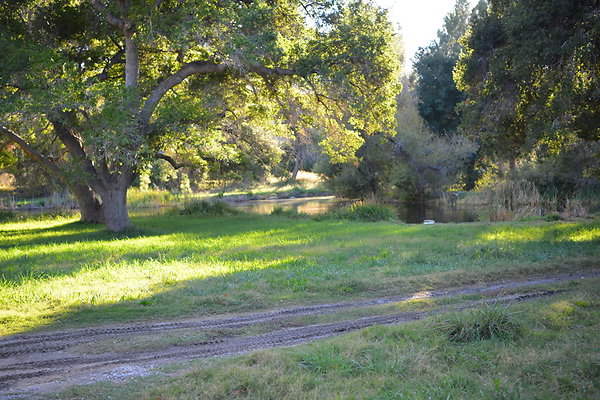DSC 7646