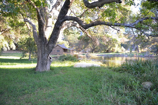 DSC 7722