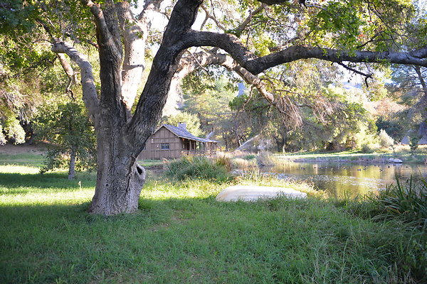 DSC 7723