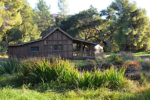 DSC 7755