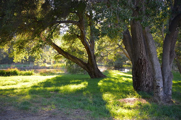 DSC 7770