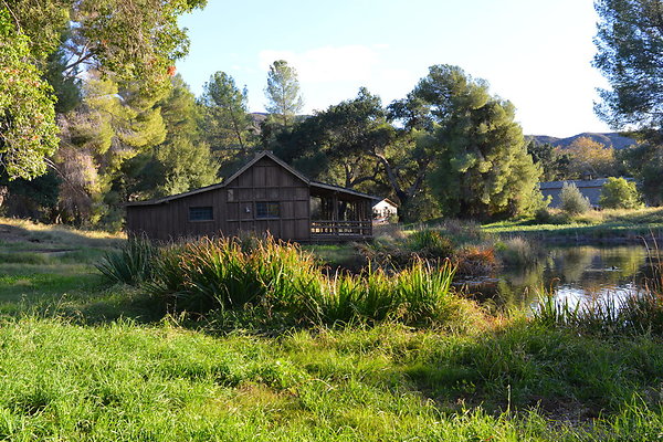 DSC 7754