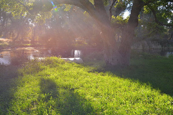 DSC 7701