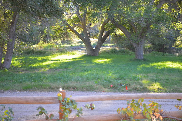 DSC 7673