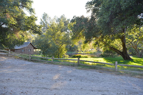 DSC 7775