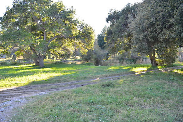 DSC 7644