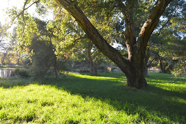 DSC 7764