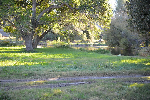 DSC 7649