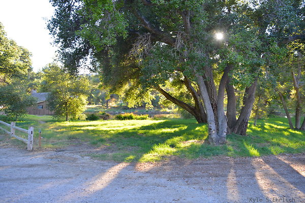 DSC 7805