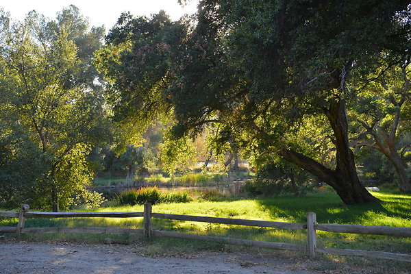 DSC 7776