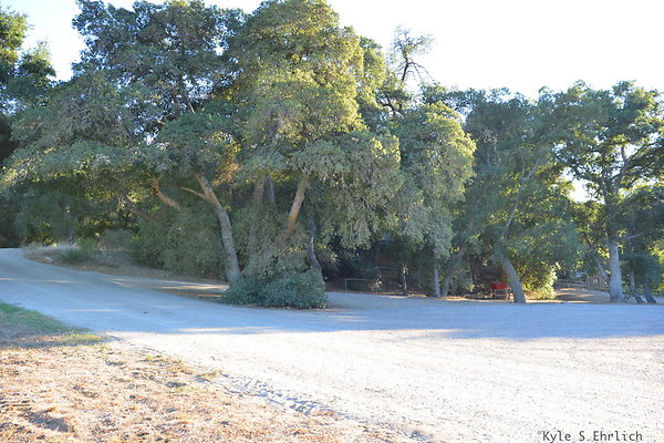DSC 7825
