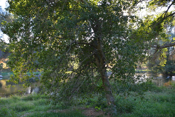 DSC 7746