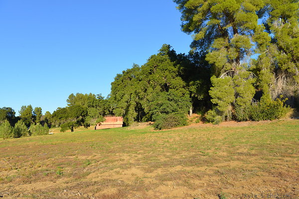 DSC 7822
