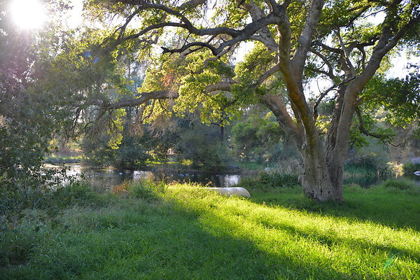 DSC 7747