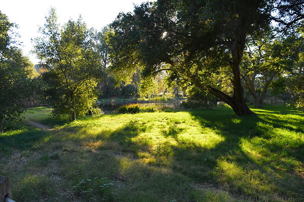 DSC 7798