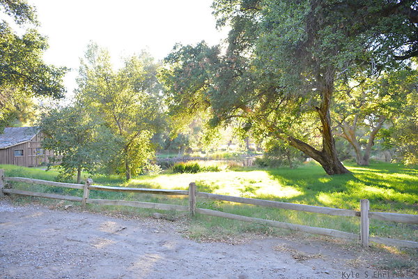 DSC 7786