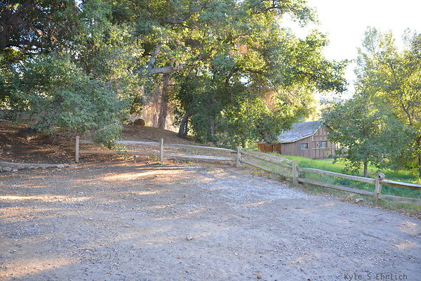 DSC 7785