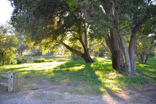 DSC 7769