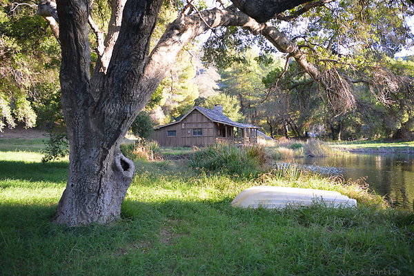 DSC 7728