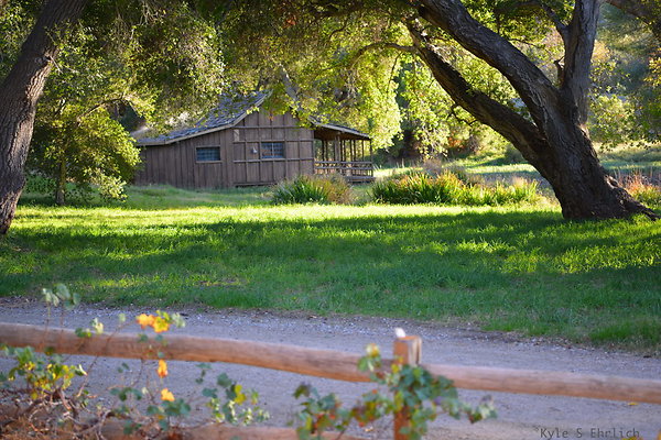 DSC 7667