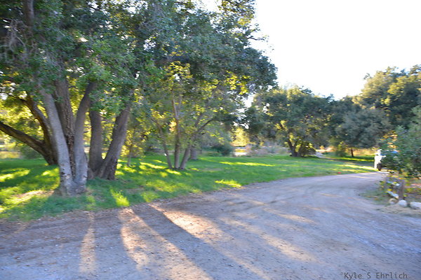 DSC 7806