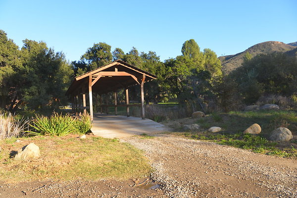 DSC 7873