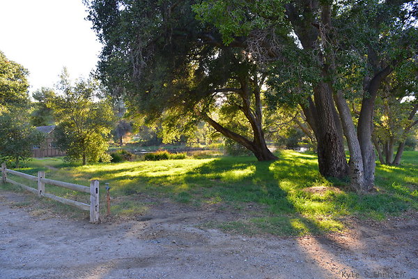DSC 7768