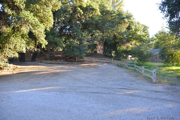 DSC 7804