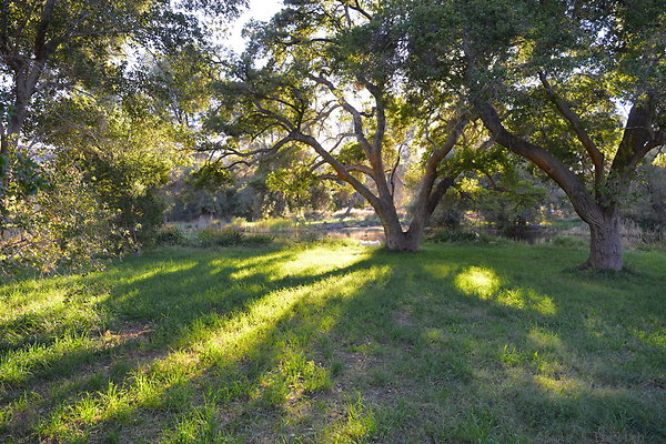 DSC 7694