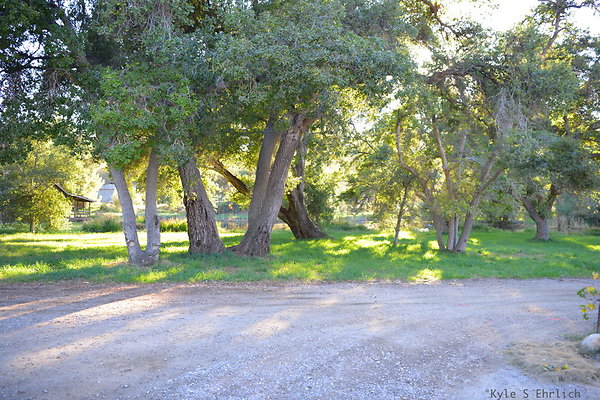 DSC 7808