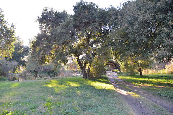 DSC 7658