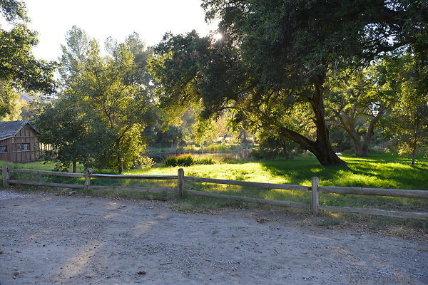 DSC 7781