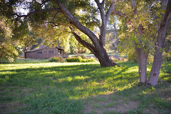 DSC 7685