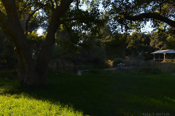 DSC 7705
