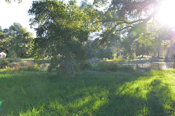 DSC 7739