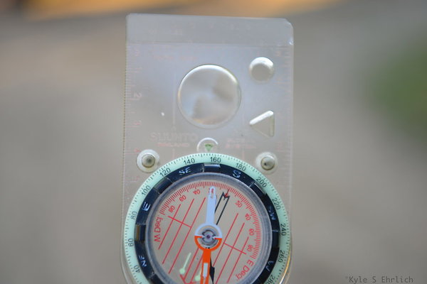 DSC 7638
