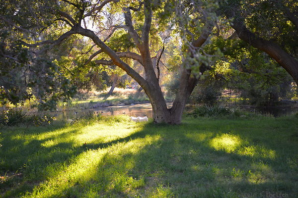 DSC 7690