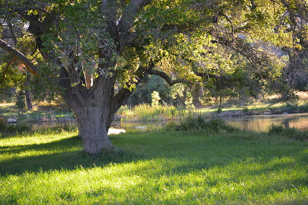 DSC 7654